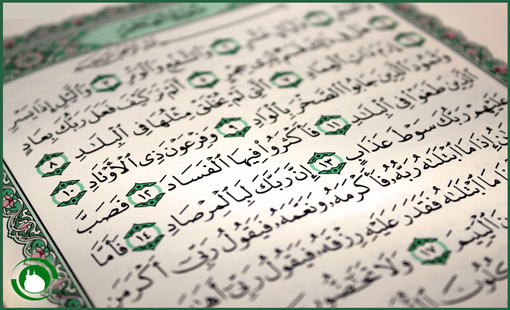 هوى النفس والعقل